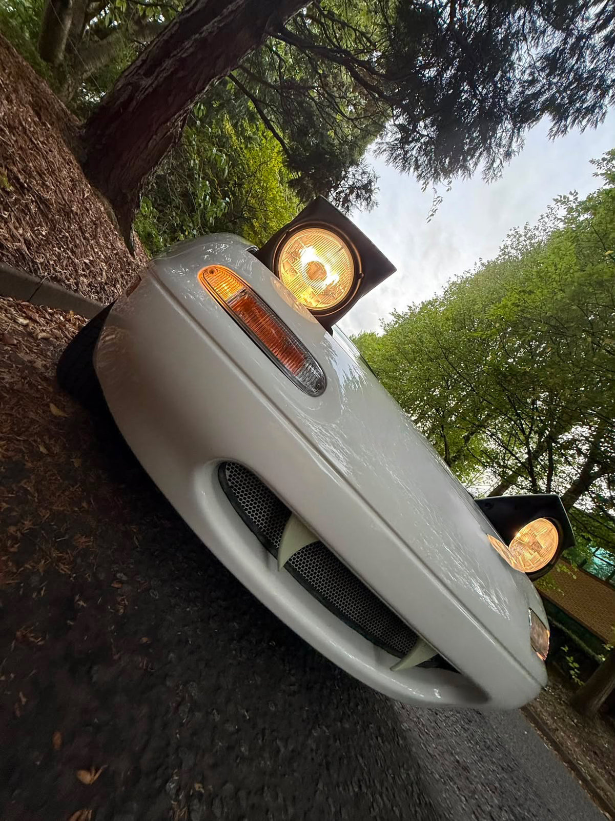 MX5 Miata Eunos Universal Fangs – Glow in the Dark